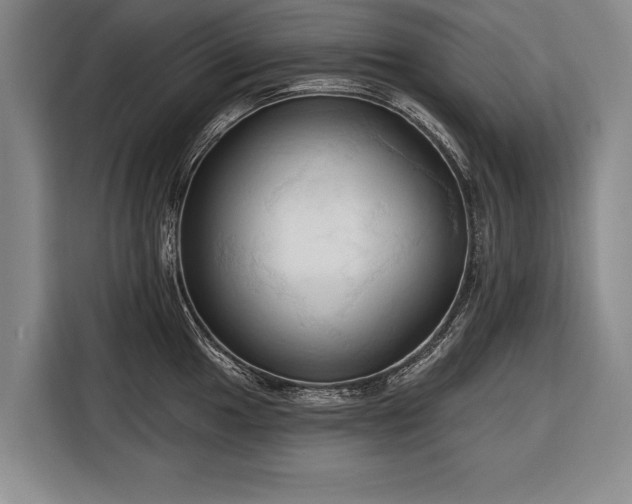 X0000116321049200912091015