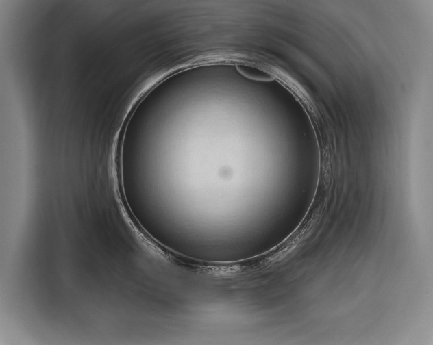 X0000116321055200912091015