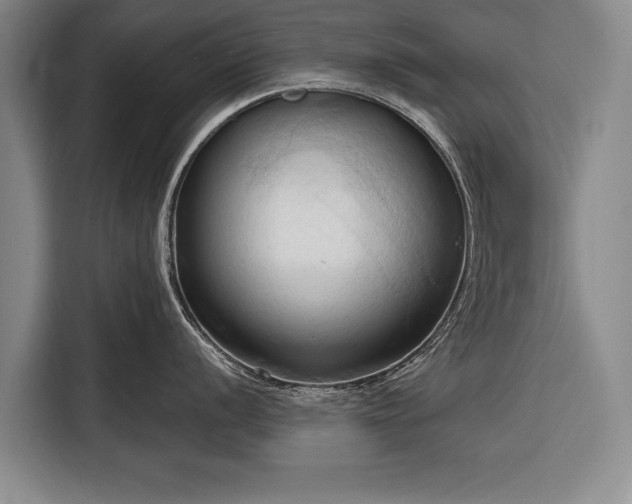 X0000116321056200912091015