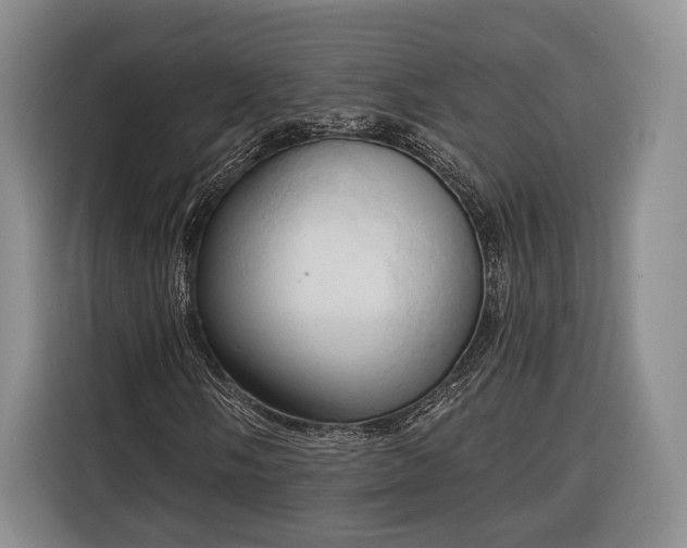 X0000116321058200912091015