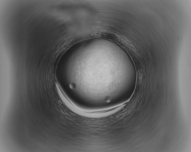 X0000116321060200912091015