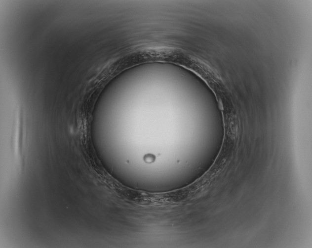 X0000116321061200912091015