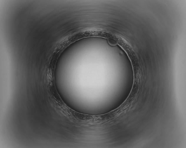 X0000116321062200912091015