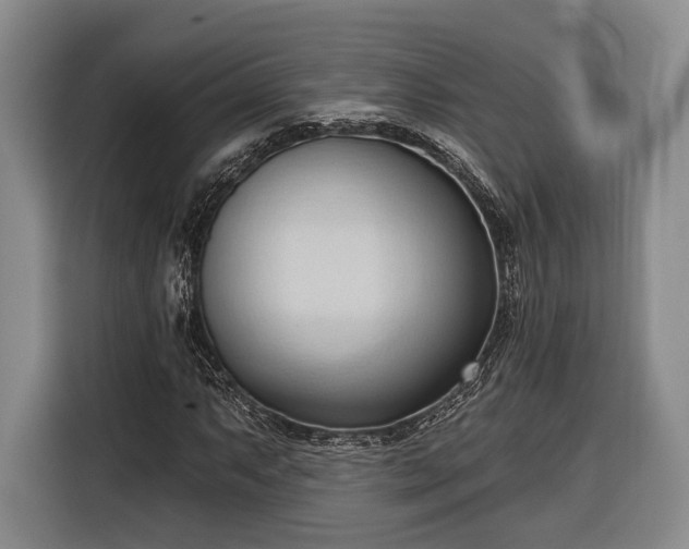 X0000116321063200912091015