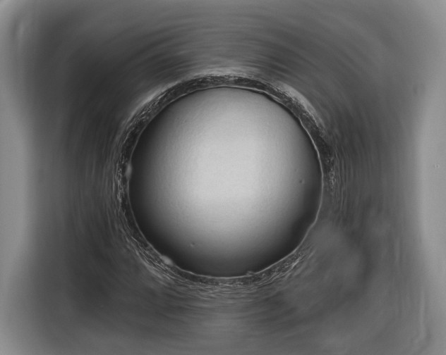 X0000116321064200912091015