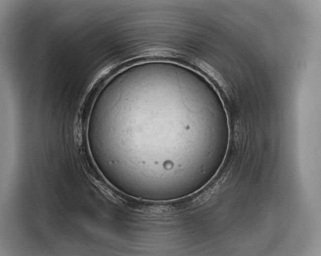 X0000116321067200912091015