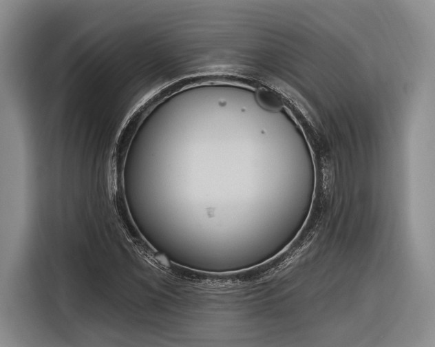 X0000116321069200912091014