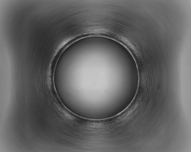 X0000116321071200912091014