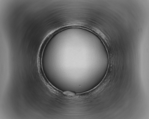 X0000116321072200912091014