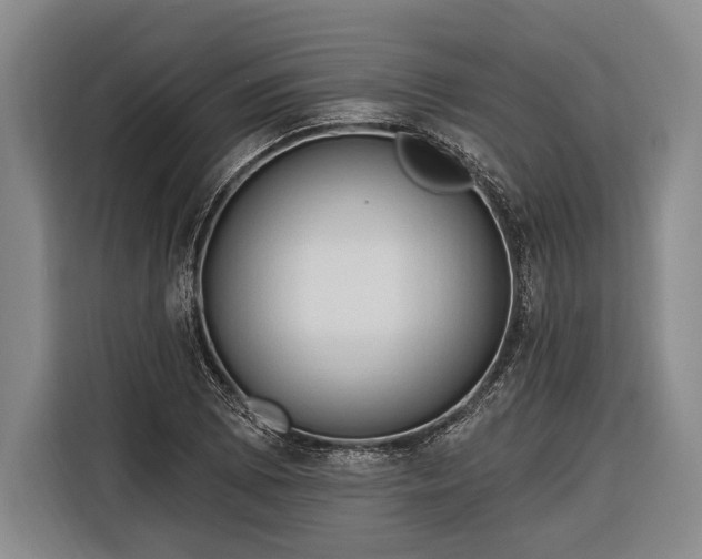 X0000116321073200912091014