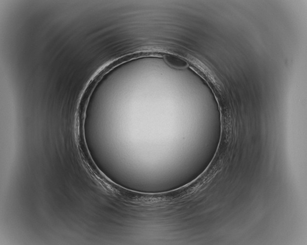 X0000116321076200912091014