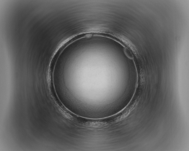 X0000116321077200912091014