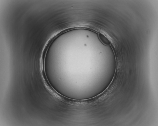 X0000116321080200912091014