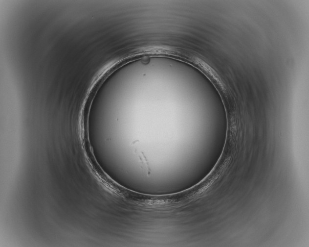 X0000116321082200912091014