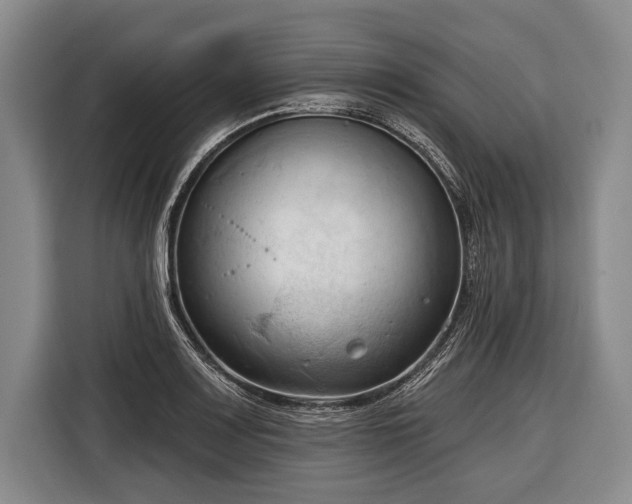 X0000116321083200912091014