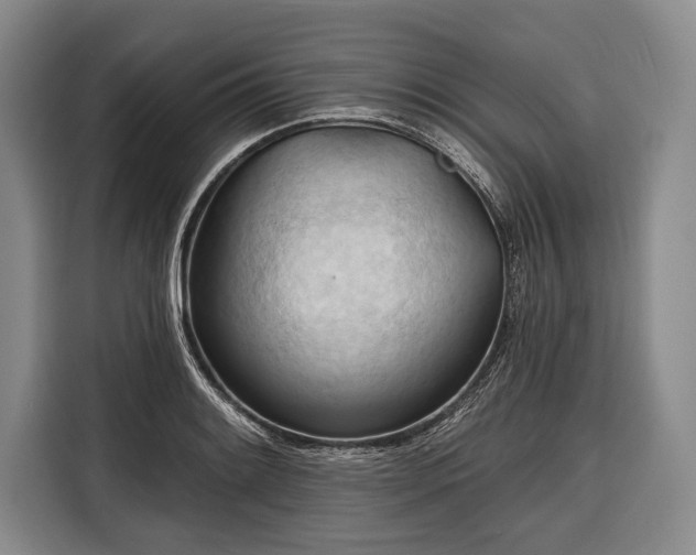 X0000116321084200912091014