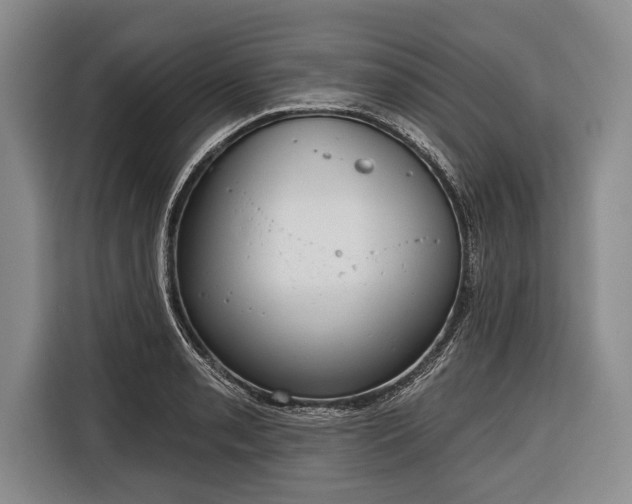 X0000116321085200912091014