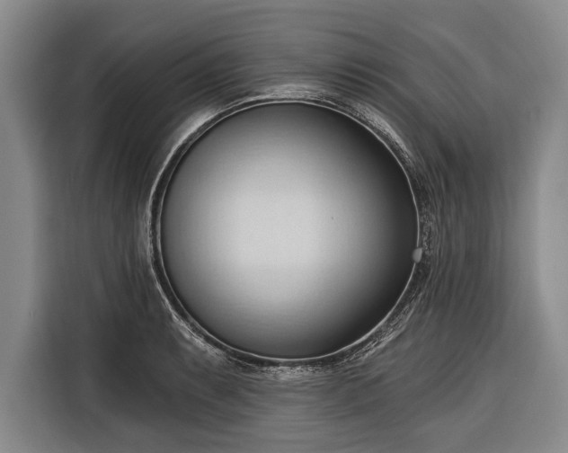 X0000116321087200912091014