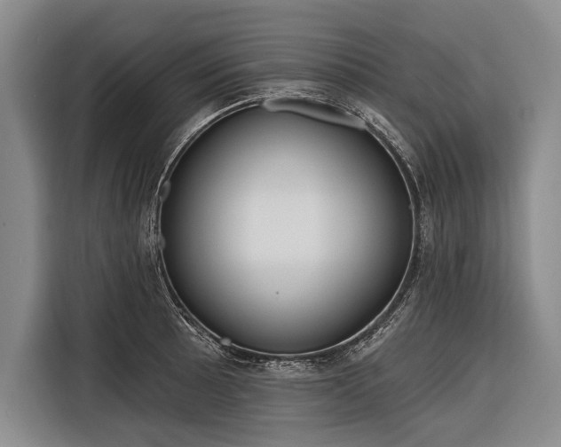 X0000116321089200912091014