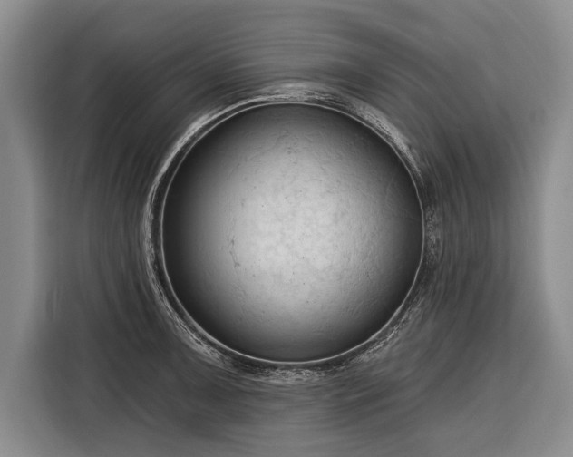 X0000116321091200912091014