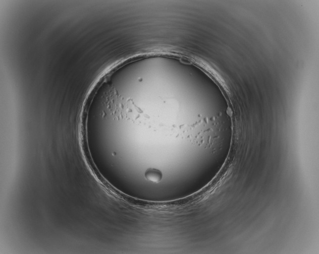 X0000116321093200912091014