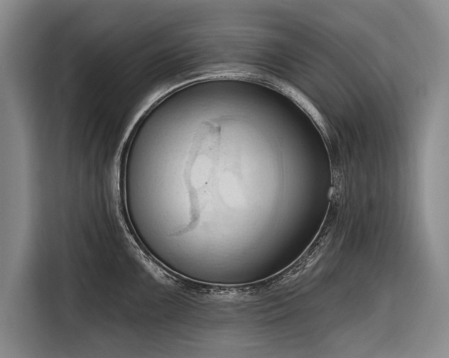 X0000116321099200912091014