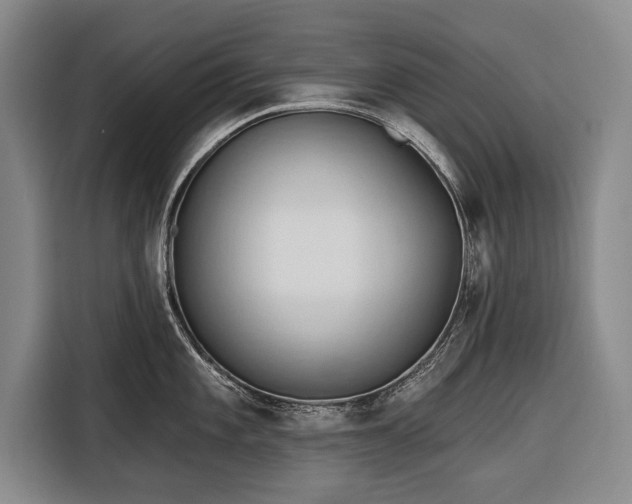 X0000116321101200912091014