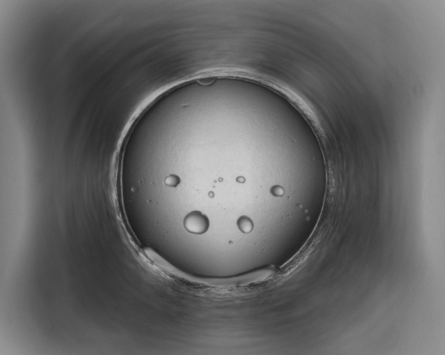 X0000116321102200912091014