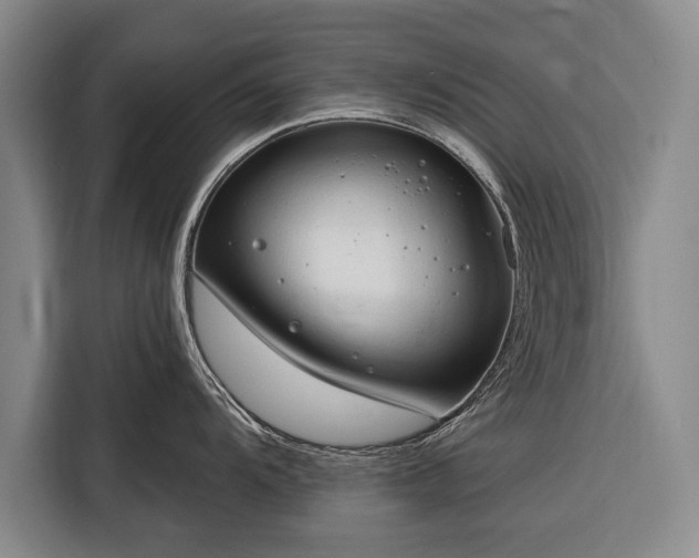 X0000116321104200912091014