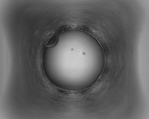 X0000116321105200912091013