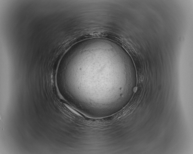 X0000116321106200912091013