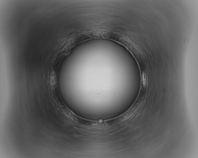 X0000116321107200912091013