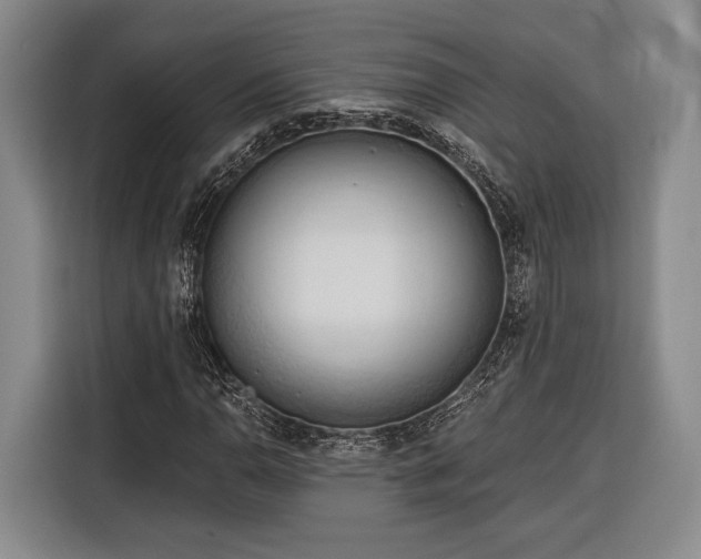 X0000116321110200912091013