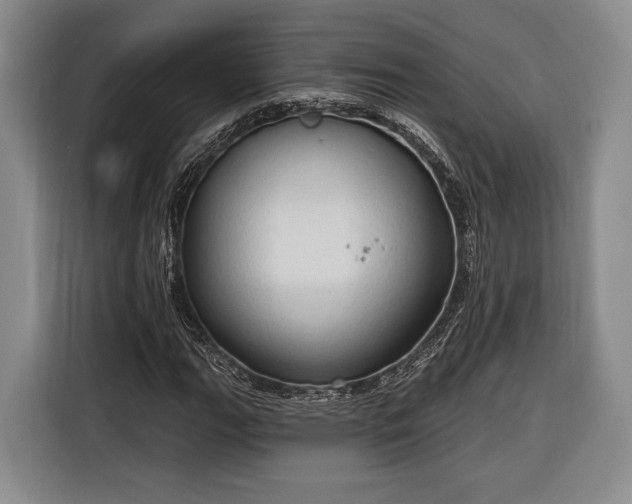 X0000116321111200912091013