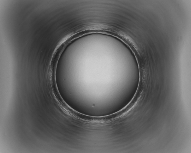 X0000116321114200912091014