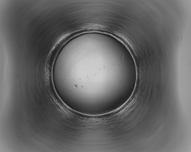 X0000116321115200912091014