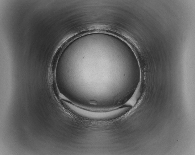 X0000116321117200912091014