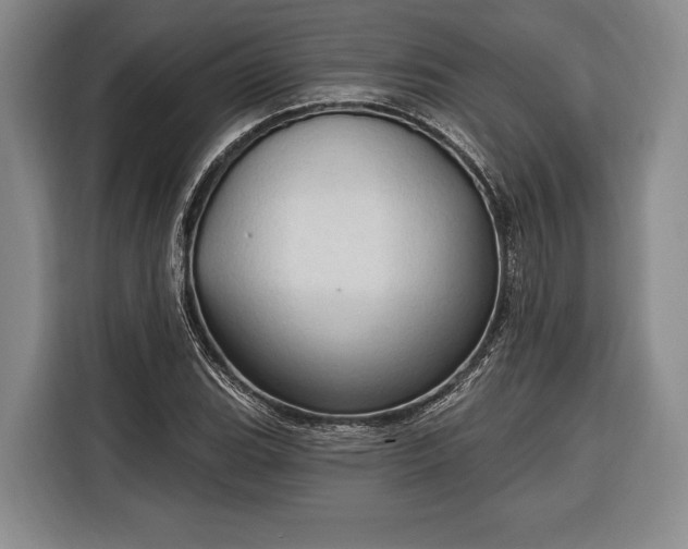 X0000116321119200912091014