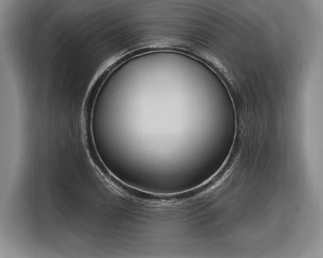 X0000116321122200912091014