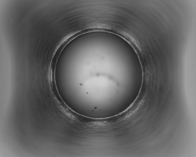 X0000116321125200912091014