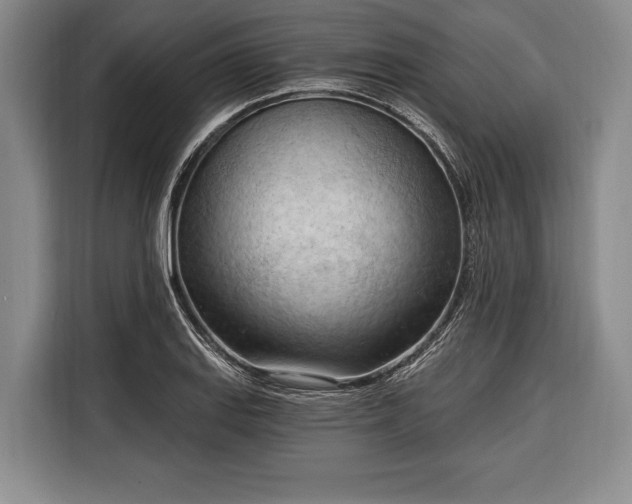 X0000116321127200912091014