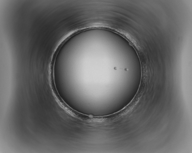 X0000116321134200912091014