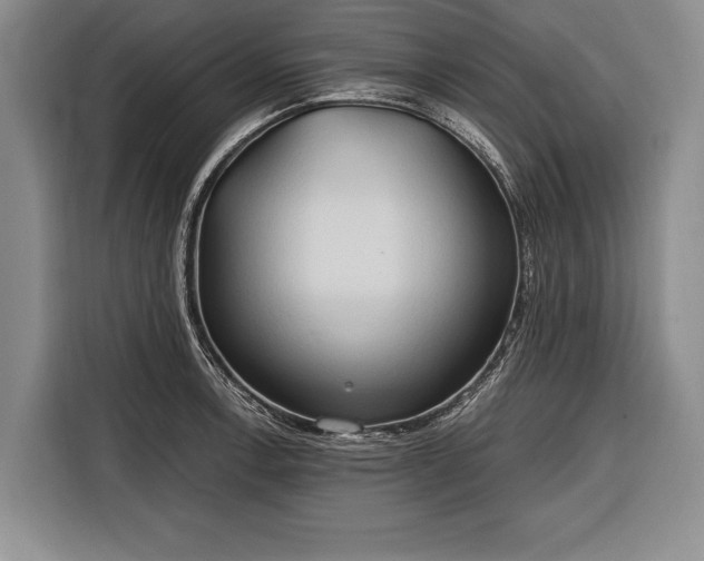 X0000116321138200912091014