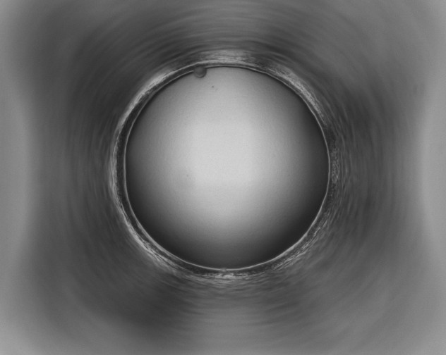 X0000116321139200912091014