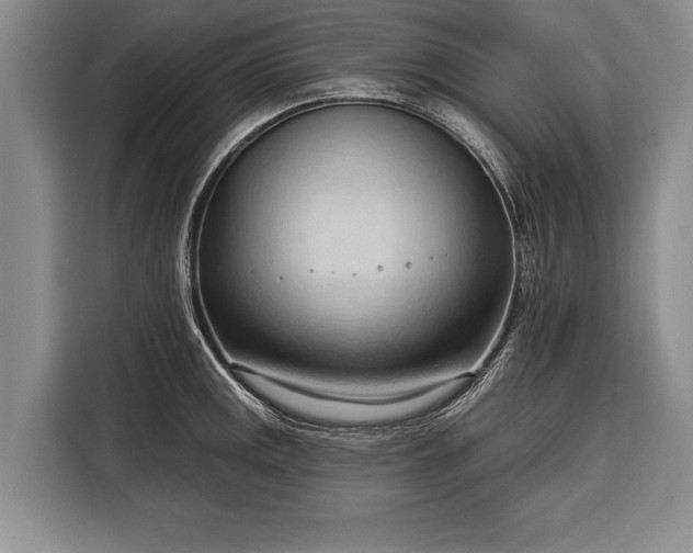 X0000116321141200912091014