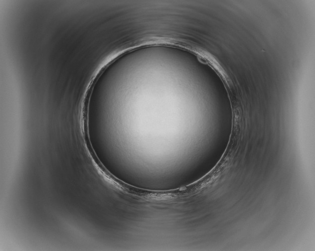 X0000116321143200912091014