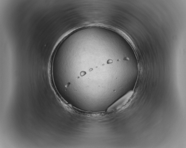 X0000116321149200912091014