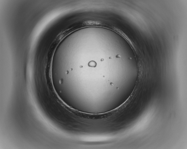 X0000116321151200912091014