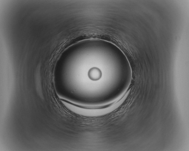 X0000116321153200912091013