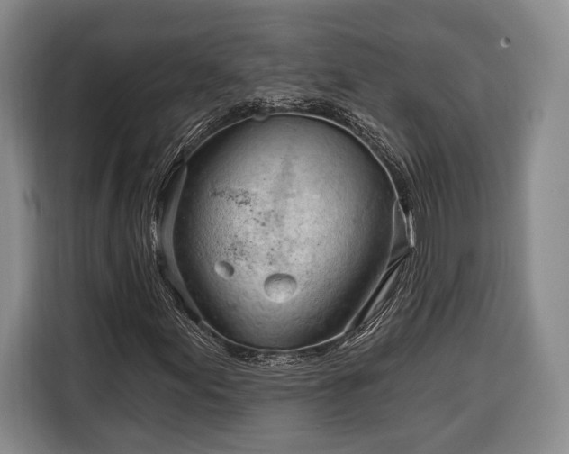 X0000116321155200912091013